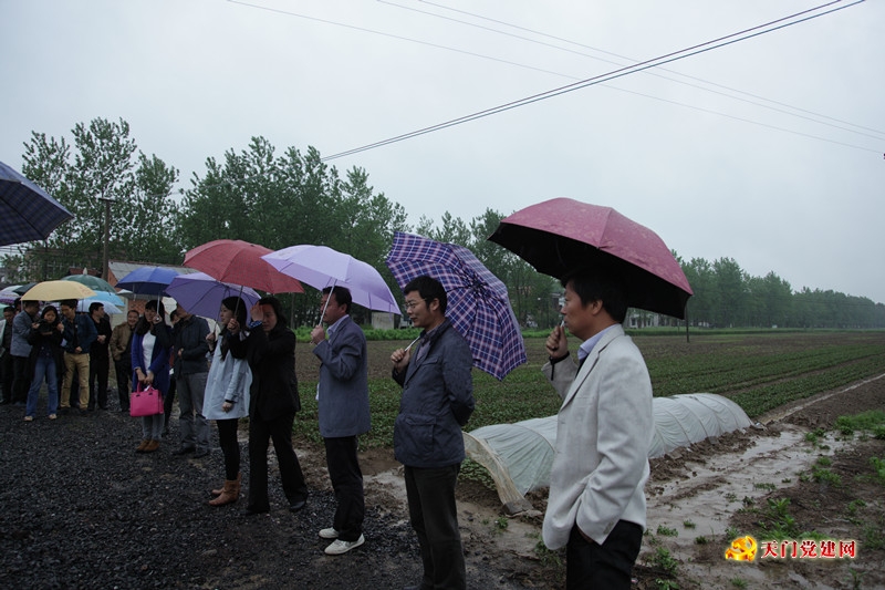 市委组织部召开全市“能人回归”工程现场推进会