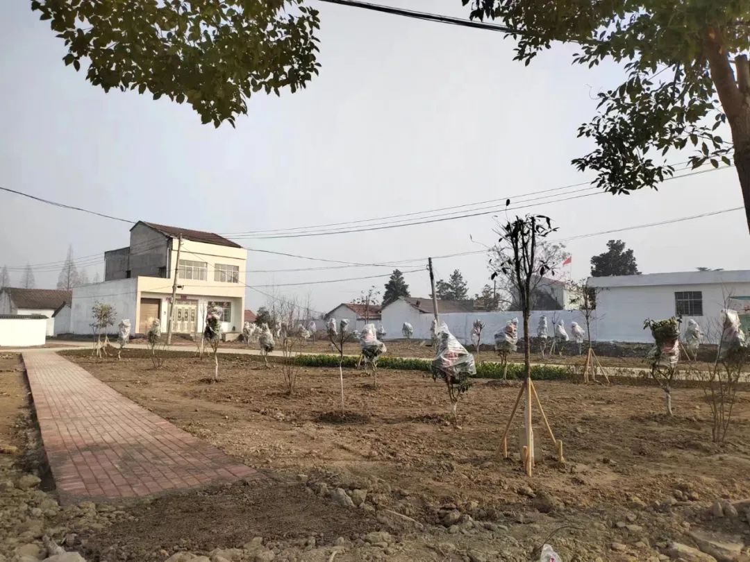 蒋湖农场：“祛瘀通络”惠民生